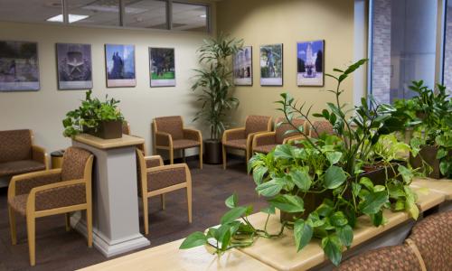 Counseling and Mental Health Center