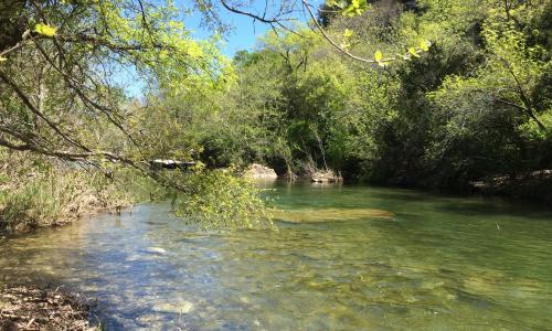 Barton Creek Greenbelt