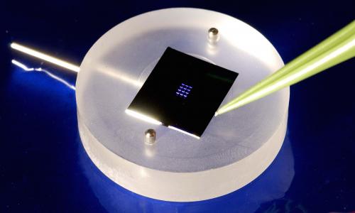 McDevitt Lab image