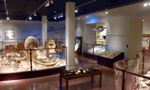 Texas Memorial Museum