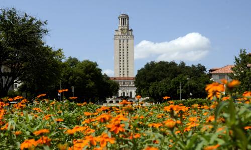 Flowers in front of the Tower