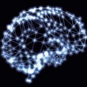 Department of Neuroscience