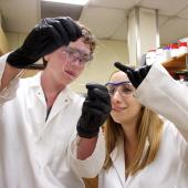 Biomedical engineering students examine work.