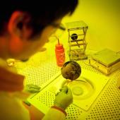 Chemical engineering student in lab.