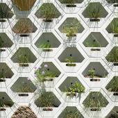 Living Wall