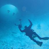 Scuba diver while on a dive.