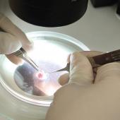Researcher examining particle in lab.