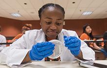 Dell Med students working on a project involving a petri dish and an app