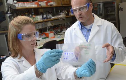 Post-doc fellow in lab reviewing findings with another researcher.