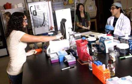 Undergraduate researchers